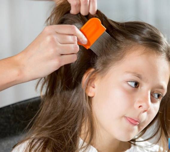 Chải tóc thường xuyên cho trẻ.
