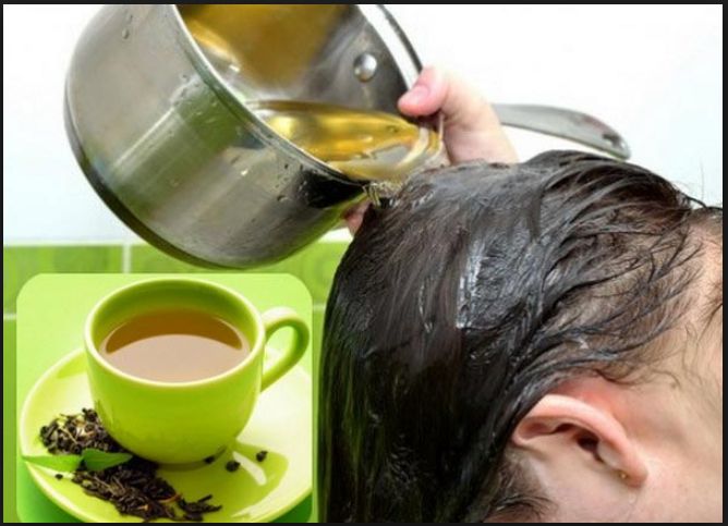 Gội đầu bằng trà xanh như thế nào? Hiệu quả bất ngờ bạn cần biết -  zemahair.com